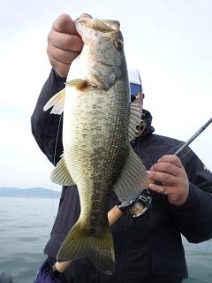 20120415-2.jpg