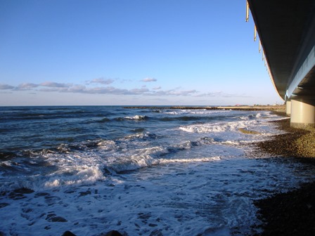 tIMG_2246.jpg