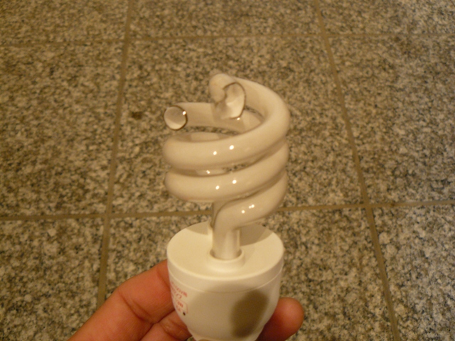 P1050290.jpg