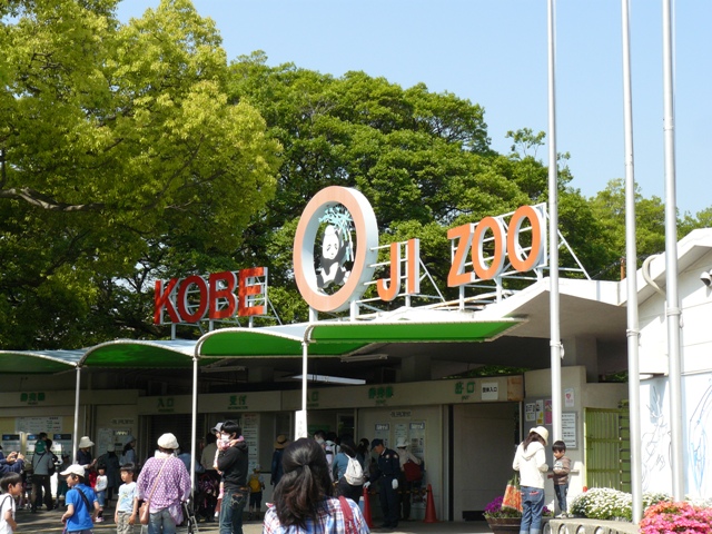 P1050854.jpg