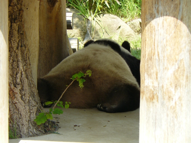 P1050860.jpg