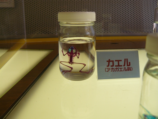 P1060159.jpg