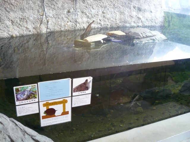 P1060172.jpg