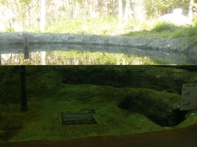 P1060177.jpg