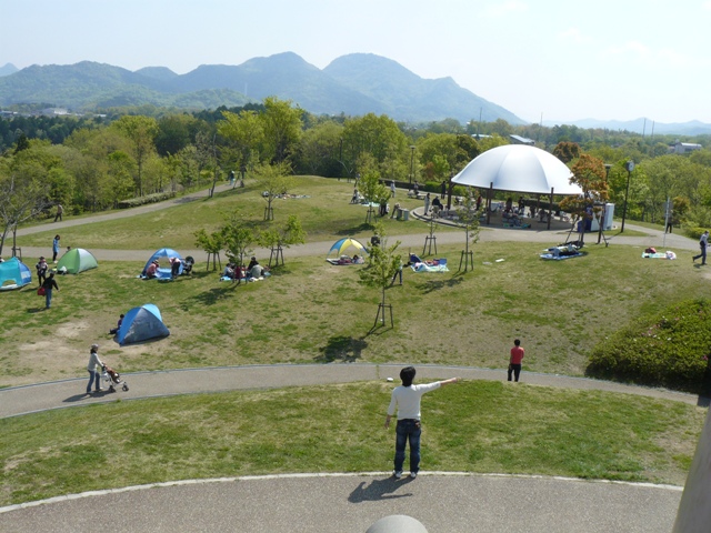 P1060240.jpg