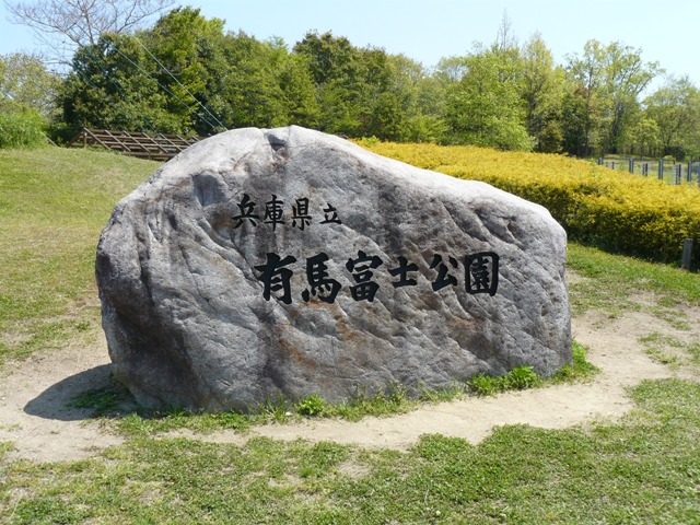 P1060286.jpg