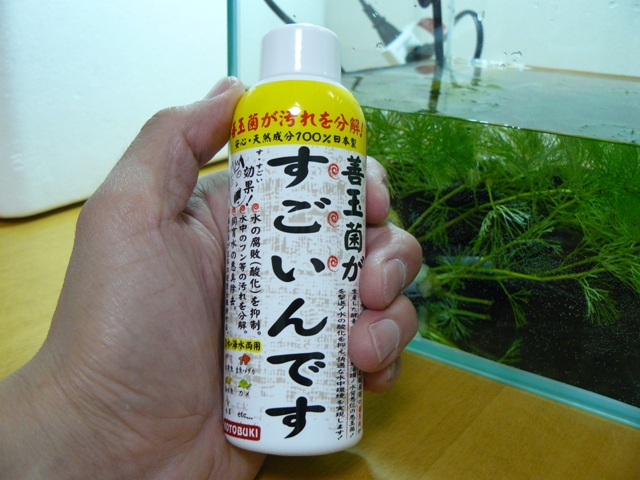 P1060346.jpg