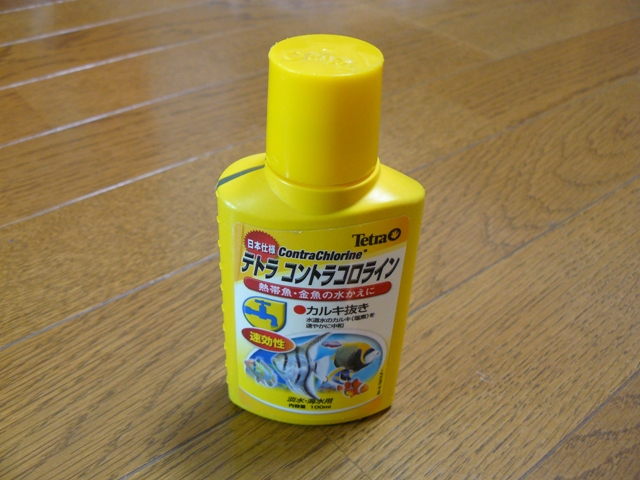 P1070015.jpg
