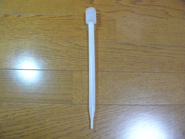 P1070018.jpg