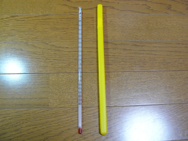 P1070024.jpg