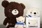 クマ三