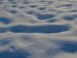 雪の顔2