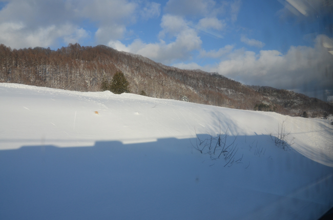 DSC_4578sss.jpg