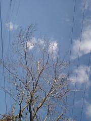 CA380346.jpg