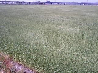 CA380436.jpg