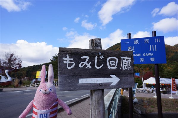 『もみじ回廊』