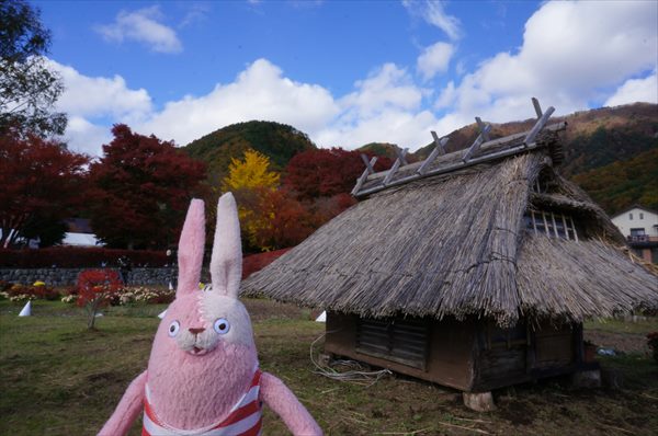 プチ白川郷