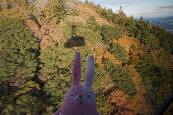 ロープウェイと影