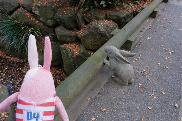 ウサギ(石化)