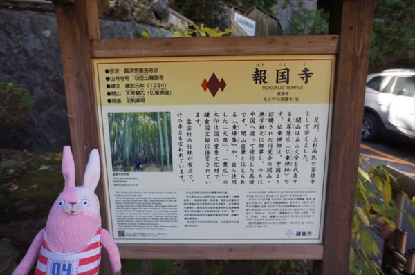 報国寺