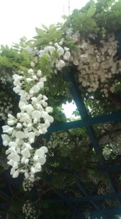20120501154251.jpg