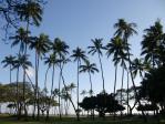 1205hnl10.jpg