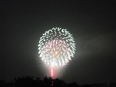 2011片貝花火01