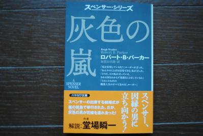 灰色の嵐