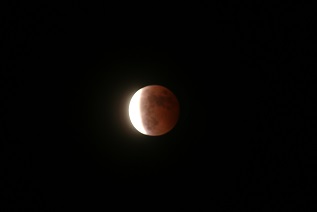 IMG_0048.jpg