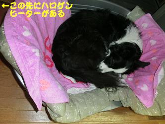 251217寝