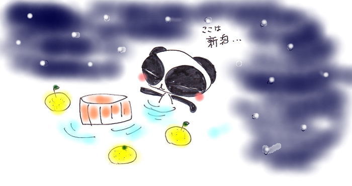 新潟を思い出す・・・