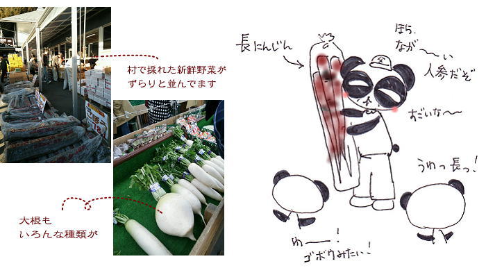 新鮮野菜
