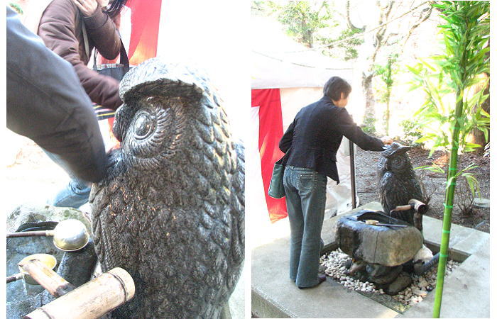 フクロウの像に水をかけ・・・