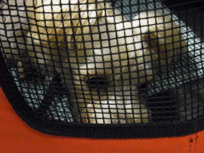 2012_0201もみじ0183 (400x300)