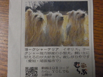 2012_0201もみじ0450 (400x300)
