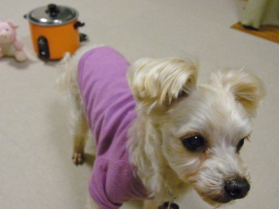 2012_0318もみじ0012 (400x300)