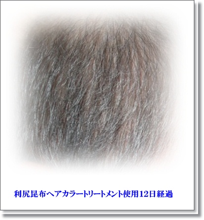 使用後12日目 修正