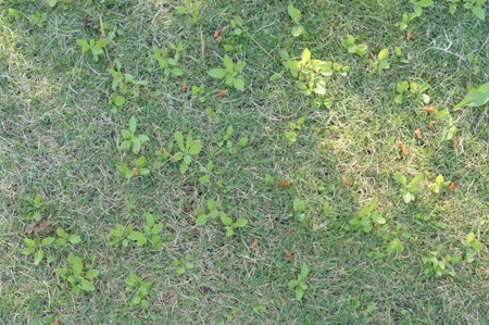 DSC03582_20130506074203.jpg