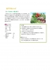 recipe1