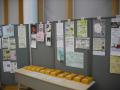 DSCF5281.jpg