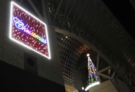 クリスマスプレートとツリー_H25.12.10撮影