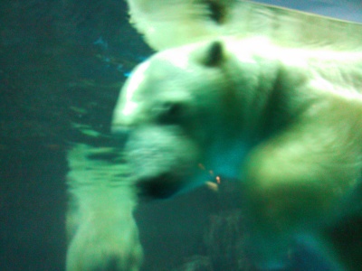 20111017-2.jpg