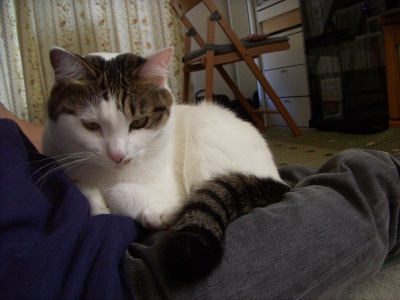 PICT0005.jpg