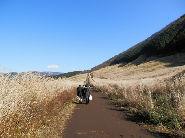 M1225.jpg
