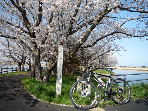 20120412-3.jpg
