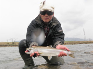 20120413yuragi1