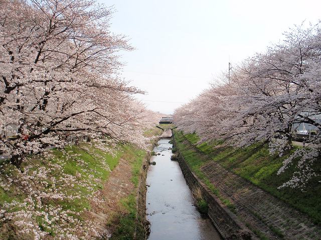 P3300021.jpg