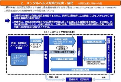 メンタル改正要綱