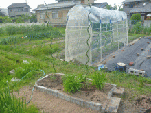 位置関係はこんな感じ~