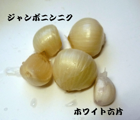 ニンニク